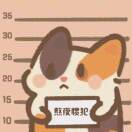 克斯维尔的明天