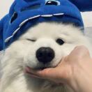 英国求租