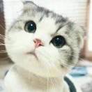 李先生的头像