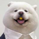 喜洋洋的头像-音创社AI SonoCraft丨科技改变未来