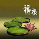 马先生的头像