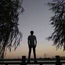 月光下的稻草人