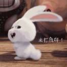 小樱桃