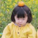 豆芽
