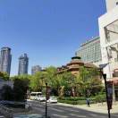 施梦的头像-外科技术网