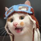 猎奇人