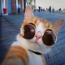 吴同的头像-博士钣金 - www.bsbanjin.com