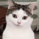 user_szczgifef737473e73245 member profile picture