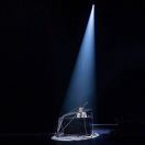 村口白菜哥