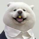 岛屿🇼🇦🇳🇬