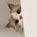 qtyffg的头像-壹书网