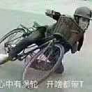 刘先生的头像