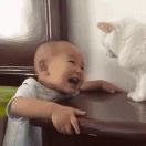 百味轩牛肉汤馆