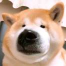 阿怪i