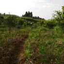 林红春18781325442