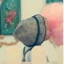 Aa查💰💭的头像-博士钣金 - www.bsbanjin.com