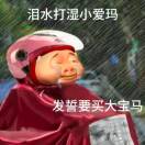 用户47941109的头像-创薯资源