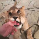 u客直谈实名认证朱先生