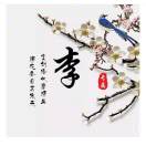 用户头像: