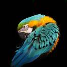 乐百佳的头像-博士钣金 - www.bsbanjin.com