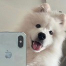 航