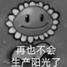 yi3039的头像-小果迷