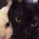 ㅤㅤㅤㅤㅤㅤㅤㅤ的头像-博士钣金 - www.bsbanjin.com