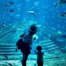 Profile picture of 527649927