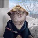 ????????的头像-cg男孩