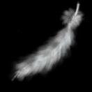 一缕简单的黑夜  奢望