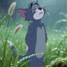 用户85189887的头像-星许网创-免费分享网络项目