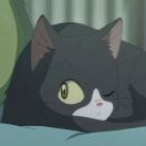 猫_913