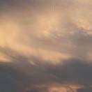 金水优胜徐书娥