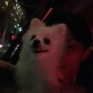 陈启启素材库