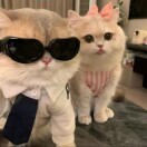 u客直谈实名认证魏可涵