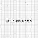 汪学峰