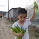 💞꧔ꦿ᭄顺李成张꧔ꦿ᭄💞