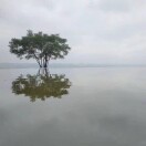 刘洁