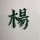 杨珂