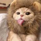 Profile picture of Zean