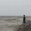 ت周密的头像-秀琴曲谱网