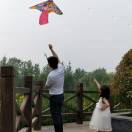 life_photo_0
