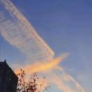 群辉柑橘家庭种植园13678245905