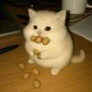 user_qp7kuce2fctz4n94 member profile picture