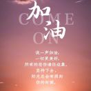 孙女士的头像