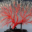 。。。。男子汉