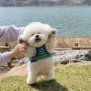马旭颖