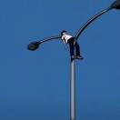 用户60925463的头像-梦马考研