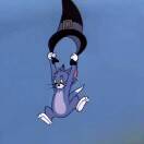 杌仵的头像-熵减岛