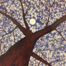 网友昵称：叶子